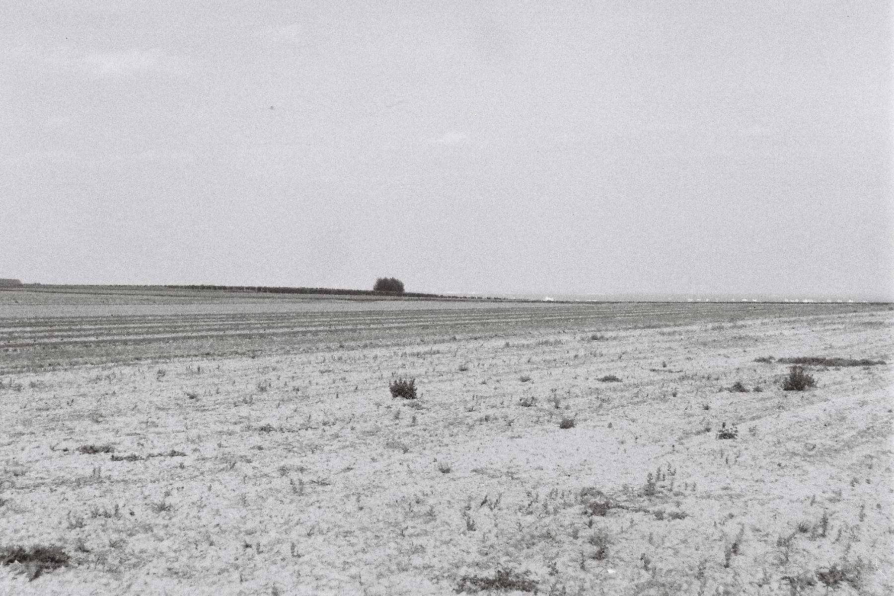 Gro&szlig;es unbewirtschaftetes Ackerland